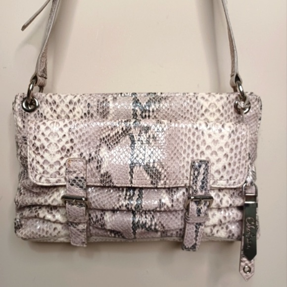 Cole Haan Handbags - COPY - RARE- COLE HAAN SNAKESKIN CROSSBODY BAG I’ve added a unbranded dust bag.